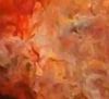 AirPaintingDetail