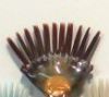AlteredFan