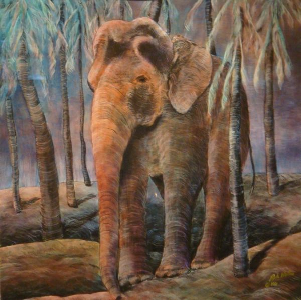 Elephant