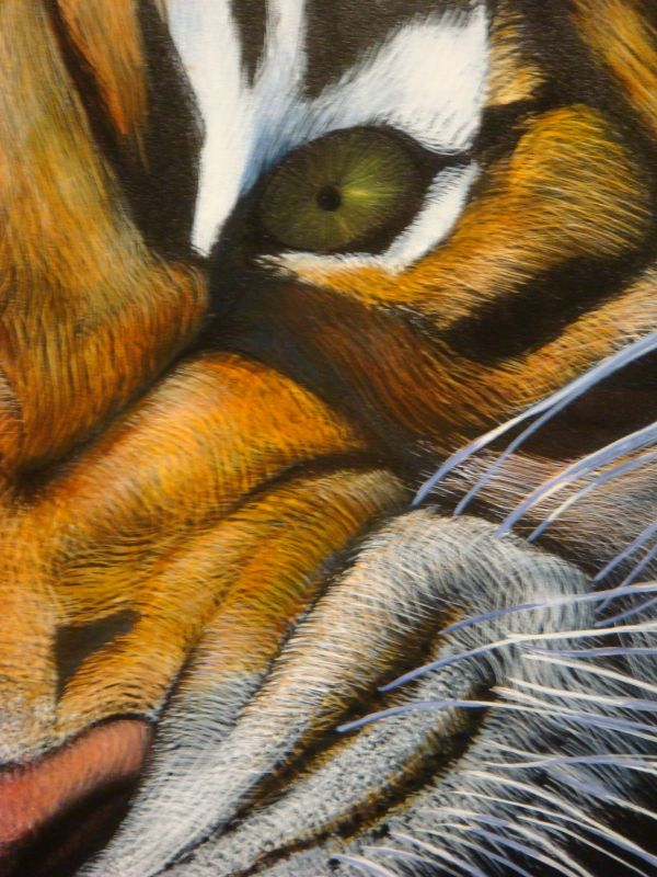 Tiger Detail 2